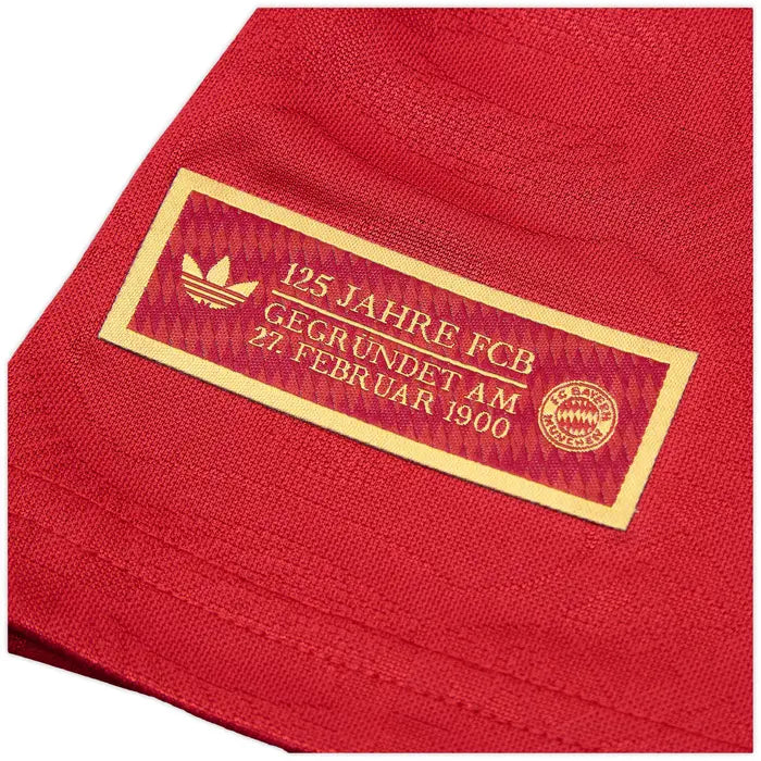FC BAYERN MUNICH 125th Anniversary